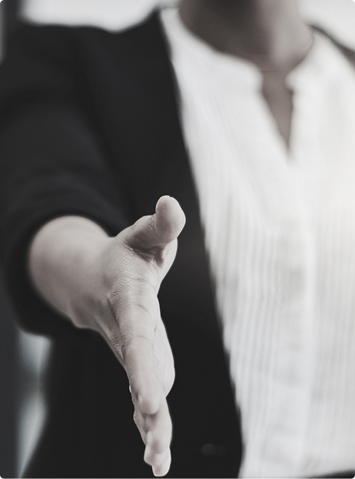 Private Equity Firms & Portcos